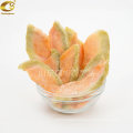 Wholesale Preserved Cantaloupe Dried Cantaloupe